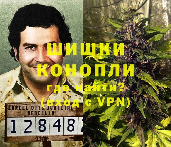 дмт Богородск