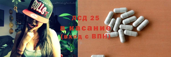 хмурый Белокуриха