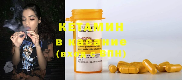хмурый Белокуриха