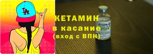 хмурый Белокуриха