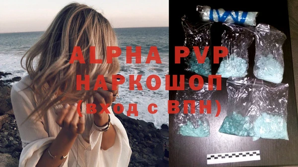 хмурый Белокуриха