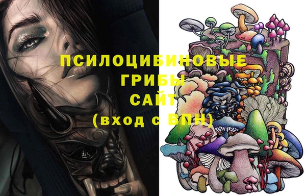 гидропоника Инсар