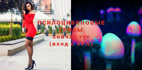 хмурый Белокуриха