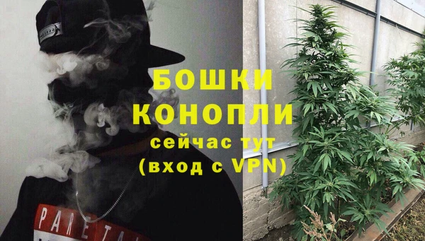 дмт Богородск