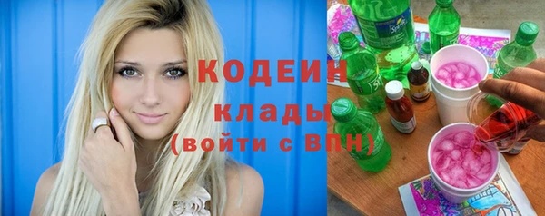хмурый Белокуриха